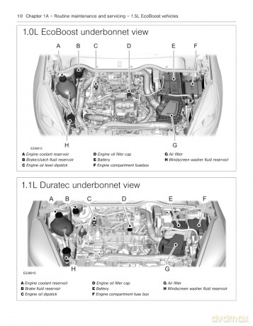 Ford Fiesta 2017 to 2023 Petrol: Owners Workshop Manual - Now includes additional online repair data [KSIĄŻKA]