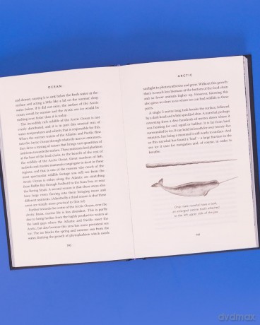 Ocean: Earth's Last Wilderness - THE LANDMARK NEW BOOK BY DAVID ATTENBOROUGH - Sir David Attenborough [KSIĄŻKA]