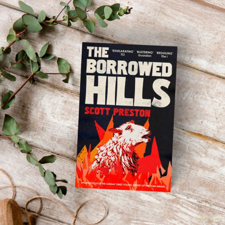 The Borrowed Hills: 'A sucker-punch of a novel' Guardian - Scott Preston [KSIĄŻKA]