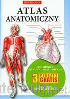 Atlas Anatomiczny broszura LITERAT [KSIĄŻKA]