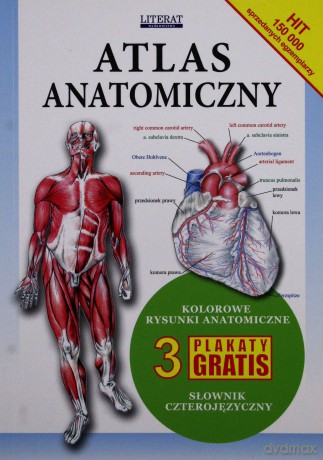 Atlas Anatomiczny broszura LITERAT [KSIĄŻKA]