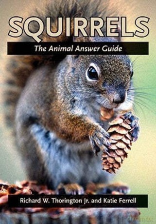 Squirrels - The Animal Answer Guide (The Animal Answer Guides: Q&A for the Curious Naturalist) - Richard W. Thorington [KSIĄŻKA]