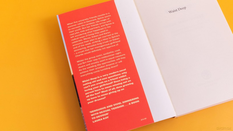Waist Deep: Discover the Scandinavian sensation and hottest read of summer 2025 - Linea Maja Ernst [KSIĄŻKA]