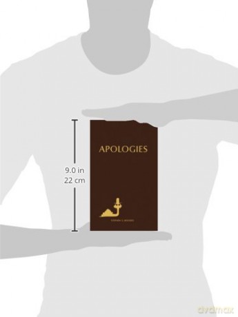 Stephen G. Rhodes: Apologies - Raphael Gygax [KSIĄŻKA]