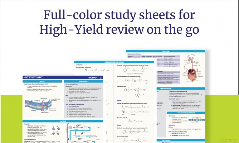 OAT Prep Plus, Sixth Edition (2025): Includes 16 Pages of Full Color Study Sheets + Online Access to 2 Full Length Practice Tests + 600+ Practice Questions (Kaplan Test Prep) - Kaplan Test Prep [KSIĄŻKA]