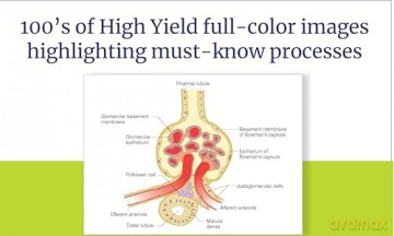 USMLE Step 1 Lecture Notes, Twelfth Edition (2025-2026): 7-Book Preclinical Review (USMLE Prep) - Kaplan Medical [KSIĄŻKA]