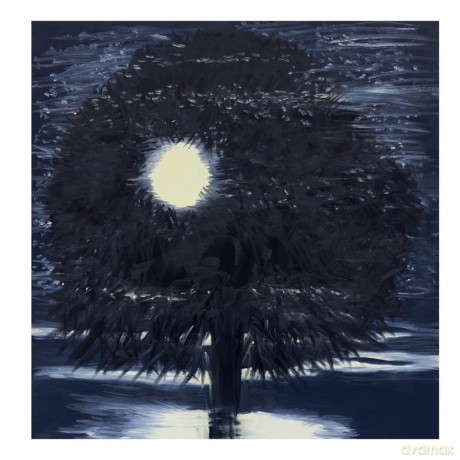Ann Craven: Night - Ann Craven [KSIĄŻKA]