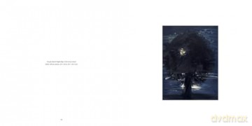 Ann Craven: Night - Ann Craven [KSIĄŻKA]