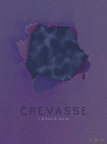 Crevasse - Nicholas Wong [KSIĄŻKA]