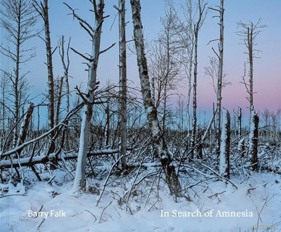 In Search of Amnesia: Jewish Narrative in Poland and Ukraine - Barry Falk [KSIĄŻKA]