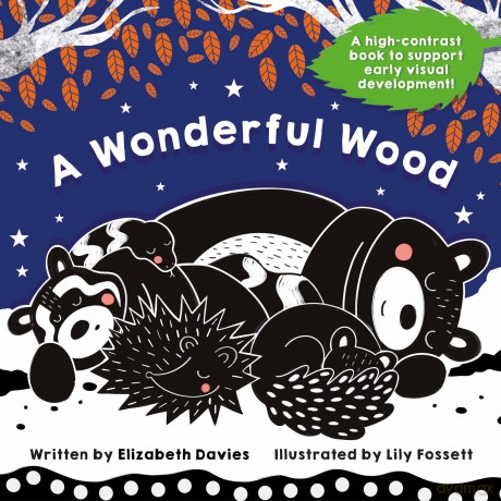A Wonderful Wood: A Black-and-White High-Contrast Storybook for Newborns and Children aged 0-5 - Elizabeth Davies [KSIĄŻKA]