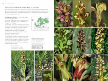 Field Guide to the Orchids of Europe and the Mediterranean Second edition - Rolf Kühn [KSIĄŻKA]