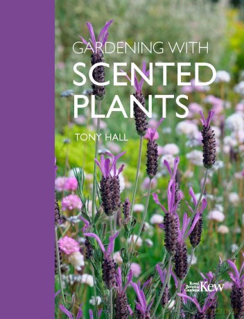 Gardening with Scented Plants - Tony Hall [KSIĄŻKA]