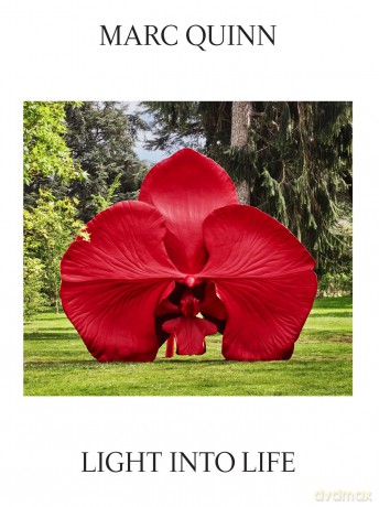 Marc Quinn: Light Into Life - Marc Quinn [KSIĄŻKA]