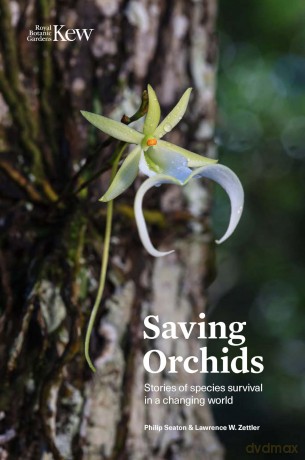 Saving Orchids: Stories of species survival in a changing world - Philip Seaton [KSIĄŻKA]