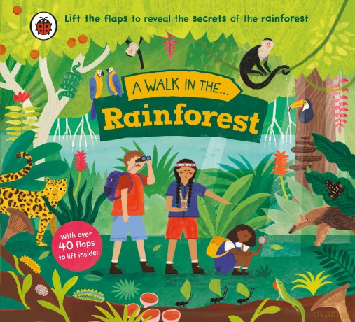 A Walk in the Rainforest: A lift-the-flap nature book - Ladybird [KSIĄŻKA]