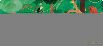 A Walk in the Rainforest: A lift-the-flap nature book - Ladybird [KSIĄŻKA]