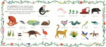 A Walk in the Rainforest: A lift-the-flap nature book - Ladybird [KSIĄŻKA]