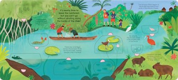 A Walk in the Rainforest: A lift-the-flap nature book - Ladybird [KSIĄŻKA]