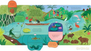 A Walk in the Rainforest: A lift-the-flap nature book - Ladybird [KSIĄŻKA]
