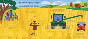 A Walk on the Farm: A lift-the-flap board book (A Walk in...) - Rose Cobden [KSIĄŻKA]