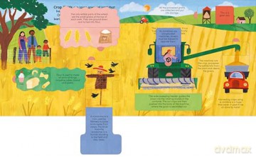 A Walk on the Farm: A lift-the-flap board book (A Walk in...) - Rose Cobden [KSIĄŻKA]