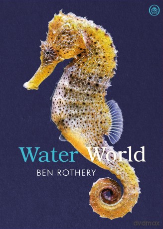 Water World: A stunning deep dive into our great oceans and the wonders beneath the waves - Ben Rothery [KSIĄŻKA]