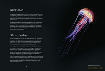 Water World: A stunning deep dive into our great oceans and the wonders beneath the waves - Ben Rothery [KSIĄŻKA]