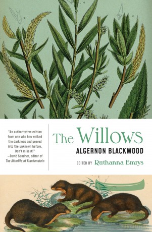 The Willows - Algernon Blackwood [KSIĄŻKA]