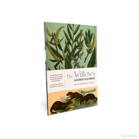 The Willows - Algernon Blackwood [KSIĄŻKA]