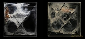Architecture Connecting: Living Structures - Mette Marie Kallehauge [KSIĄŻKA]