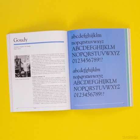 Back to Font: Behind the Typefaces You Thought You Knew - Anitra Nottingham [KSIĄŻKA]