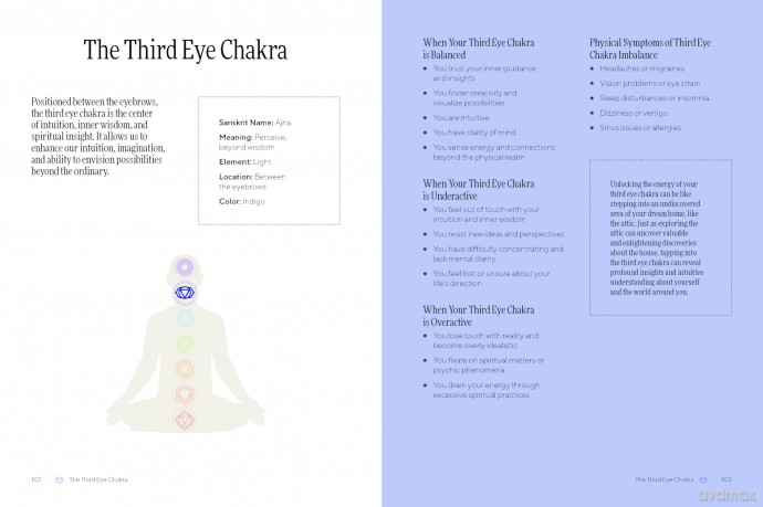 Practical Chakras: Unlock your energy for holistic wellbeing (Practical MBS) - Lucy Lee [KSIĄŻKA]