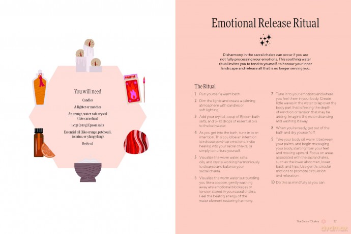 Practical Chakras: Unlock your energy for holistic wellbeing (Practical MBS) - Lucy Lee [KSIĄŻKA]