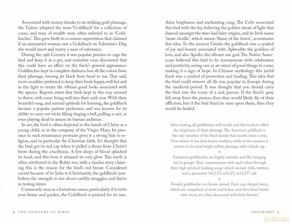 The Folklore of Birds: The forgotten tales behind nature's most enigmatic creatures - Alison Davies [KSIĄŻKA]