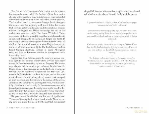 The Folklore of Birds: The forgotten tales behind nature's most enigmatic creatures - Alison Davies [KSIĄŻKA]