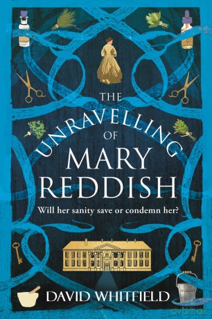 The Unravelling of Mary Reddish: a powerful historical novel about a woman unjustly committed to an asylum - David Whitfield [KSIĄŻKA]