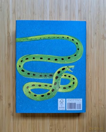 My Presentation Today is about the Anaconda - Bibi Dumon Tak [KSIĄŻKA]