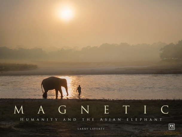 Magnetic: Humanity and the Asian elephant - Larry Laverty [KSIĄŻKA]