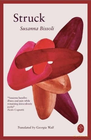Struck - Susanna Bissoli [KSIĄŻKA]
