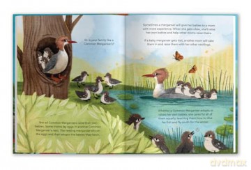 Families of a Feather: A Celebration of Family Diversity - Fern Wexler [KSIĄŻKA]