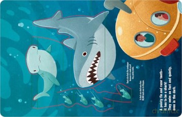 Into the Deep Blue Sea: An Ocean Pop-Up - Joel Stern [KSIĄŻKA]