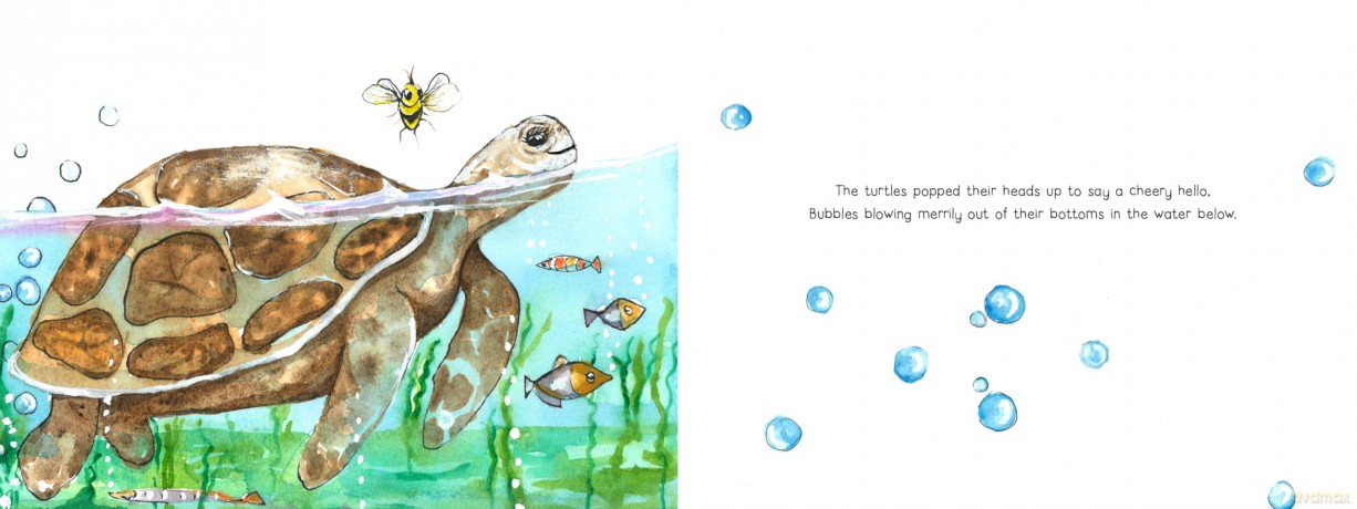 Turtle Bubbles - Diane Schaffer [KSIĄŻKA]