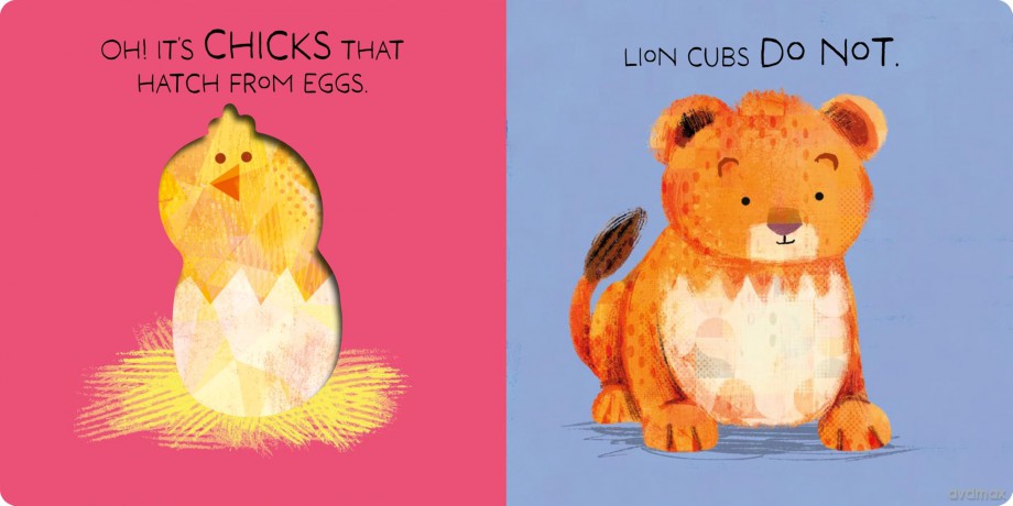 Lions Lay Eggs! - Becky Davies [KSIĄŻKA]