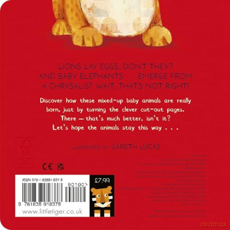 Lions Lay Eggs! - Becky Davies [KSIĄŻKA]
