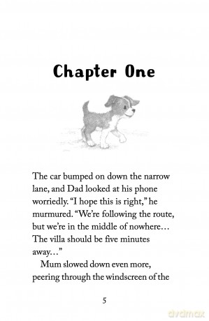 The Summer Puppy (Holly Webb: Animal Stories, 61) - Holly Webb [KSIĄŻKA]