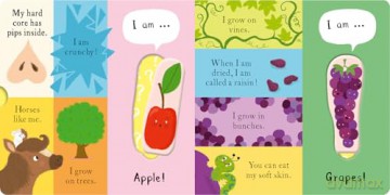 We Love Fruit! - Becky Davies [KSIĄŻKA]