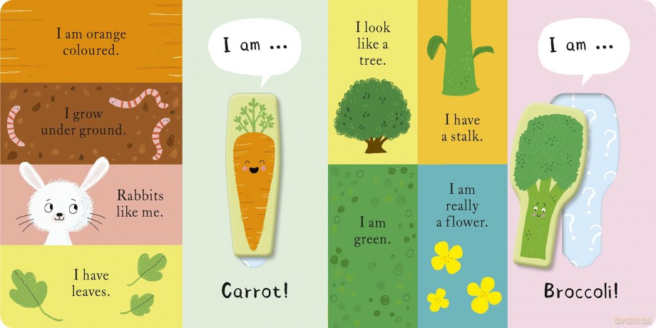 We Love Veggies! - Becky Davies [KSIĄŻKA]