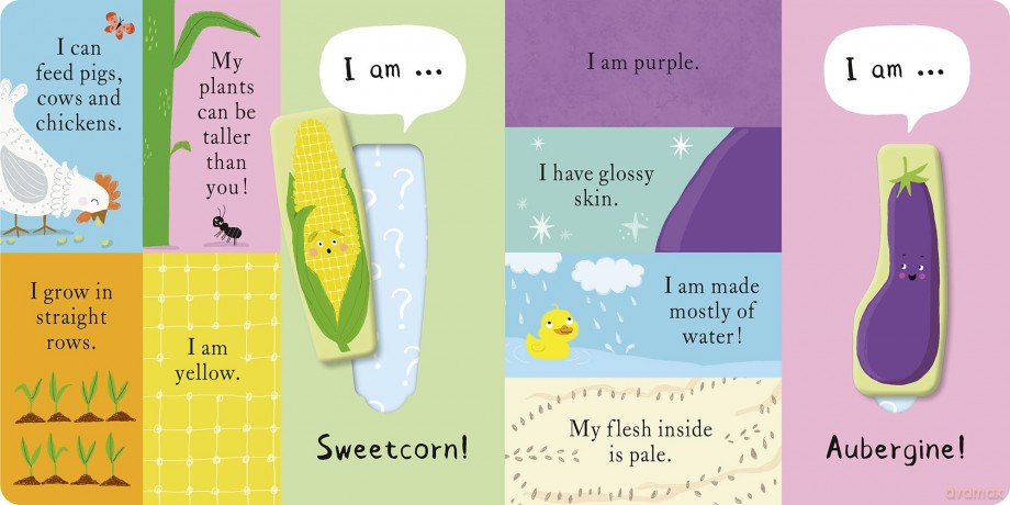 We Love Veggies! - Becky Davies [KSIĄŻKA]