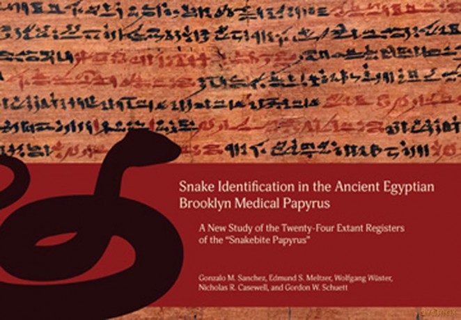 Snake Identification in the Ancient Egyptian Brooklyn Medical Papyrus: A New Study of the Twenty-Four Extant Registers of the 'Snakebite Papyrus' - Gonzalo M. Sanchez [KSIĄŻKA]